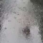 ヒメ日記 2025/09/10 11:36 投稿 沢田 ベニバナ