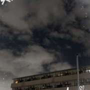 ヒメ日記 2025/09/18 22:54 投稿 沢田 ベニバナ