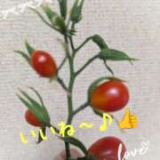 ヒメ日記 2025/09/24 08:32 投稿 沢田 ベニバナ