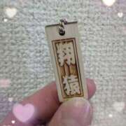 ヒメ日記 2025/09/27 08:30 投稿 沢田 ベニバナ