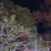 ヒメ日記 2025/11/28 22:40 投稿 沢田 ベニバナ