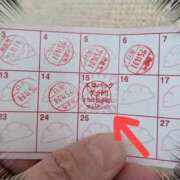 ヒメ日記 2025/11/30 12:10 投稿 沢田 ベニバナ