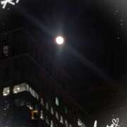 沢田 ☆夜の徘徊〜♪☆ ベニバナ