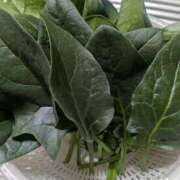 ヒメ日記 2025/12/11 11:34 投稿 沢田 ベニバナ