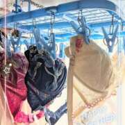 ヒメ日記 2026/01/14 11:52 投稿 沢田 ベニバナ