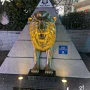 ヒメ日記 2026/01/26 20:26 投稿 沢田 ベニバナ