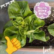 ヒメ日記 2026/01/28 12:22 投稿 沢田 ベニバナ