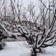 ヒメ日記 2026/02/08 14:08 投稿 沢田 ベニバナ