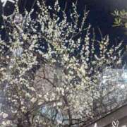 ヒメ日記 2026/02/13 22:08 投稿 沢田 ベニバナ