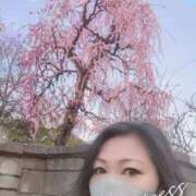 ヒメ日記 2026/02/24 12:34 投稿 沢田 ベニバナ