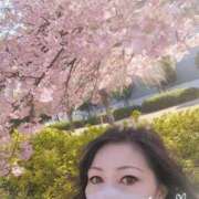 ヒメ日記 2026/03/11 11:56 投稿 沢田 ベニバナ