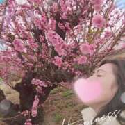 ヒメ日記 2026/03/20 11:42 投稿 沢田 ベニバナ