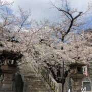 ヒメ日記 2026/03/28 12:56 投稿 沢田 ベニバナ