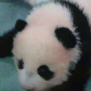 ヒメ日記 2026/01/27 07:26 投稿 神田 ベニバナ