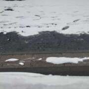 ヒメ日記 2026/02/10 07:44 投稿 神田 ベニバナ