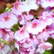 ヒメ日記 2026/03/02 07:22 投稿 神田 ベニバナ