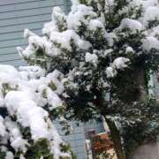 ヒメ日記 2026/03/10 07:28 投稿 神田 ベニバナ