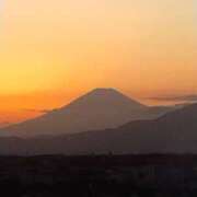 ヒメ日記 2026/04/11 07:16 投稿 神田 ベニバナ