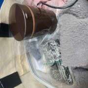 ヒメ日記 2026/02/12 14:04 投稿 新宿 ベニバナ