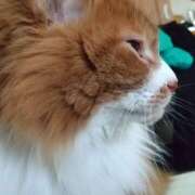 ヒメ日記 2026/03/18 18:18 投稿 新宿 ベニバナ