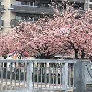 ヒメ日記 2026/03/19 09:42 投稿 新宿 ベニバナ