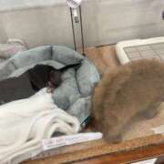 ヒメ日記 2026/04/13 19:58 投稿 新宿 ベニバナ