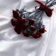 ヒメ日記 2025/12/11 01:49 投稿 のあ 新宿平成女学園