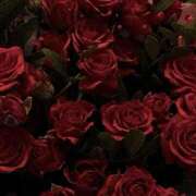 ヒメ日記 2026/03/07 17:31 投稿 のあ 新宿平成女学園