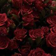 ヒメ日記 2026/04/02 15:19 投稿 のあ 新宿平成女学園