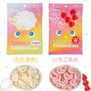 ヒメ日記 2026/04/14 20:19 投稿 のあ 新宿平成女学園