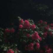 ヒメ日記 2026/04/19 14:45 投稿 のあ 新宿平成女学園