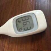 ヒメ日記 2025/05/17 14:52 投稿 ナナカ(奥方) 奥様幕府