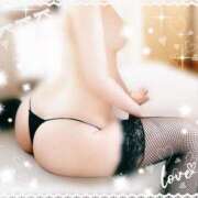 ヒメ日記 2025/05/18 16:57 投稿 ナナカ(奥方) 奥様幕府