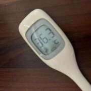 ヒメ日記 2025/05/25 14:37 投稿 ナナカ(奥方) 奥様幕府