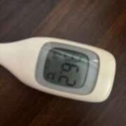 ヒメ日記 2025/05/27 13:47 投稿 ナナカ(奥方) 奥様幕府