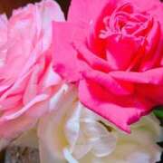 ヒメ日記 2025/05/19 18:40 投稿 あんり未経験 マダム可憐