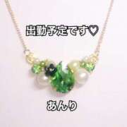 ヒメ日記 2025/07/20 05:21 投稿 あんり未経験 マダム可憐