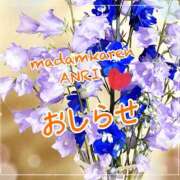 ヒメ日記 2026/01/19 11:56 投稿 あんり未経験 マダム可憐