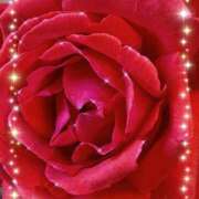 ヒメ日記 2026/01/19 18:06 投稿 あんり未経験 マダム可憐