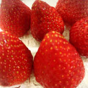 きほ 朝から? おクンニ学園 横浜関内校