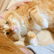 ヒメ日記 2025/09/08 18:21 投稿 みう いきなりまかさんかい