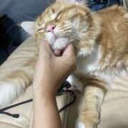 ヒメ日記 2025/10/28 01:21 投稿 みう いきなりまかさんかい