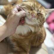 ヒメ日記 2025/12/15 17:31 投稿 みう いきなりまかさんかい