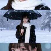 ヒメ日記 2025/10/29 11:34 投稿 きい シャブール