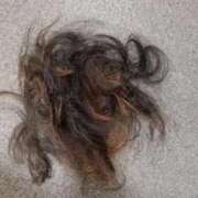 ヒメ日記 2025/10/30 15:59 投稿 バウマン 鶯谷デッドボール