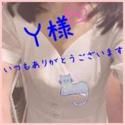 ヒメ日記 2025/10/15 08:57 投稿 こねこ 熟女の風俗最終章 相模原店