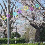 ヒメ日記 2026/03/29 12:24 投稿 こねこ 熟女の風俗最終章 相模原店