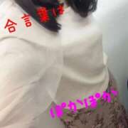 こねこ 合言葉は♪ 熟女の風俗最終章 町田店