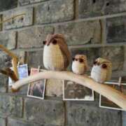 ヒメ日記 2025/07/15 17:56 投稿 Ema THE MUSE