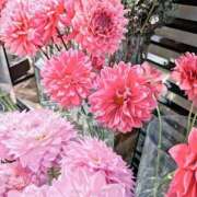 ヒメ日記 2025/08/20 00:16 投稿 たまき 京都の痴女鉄道